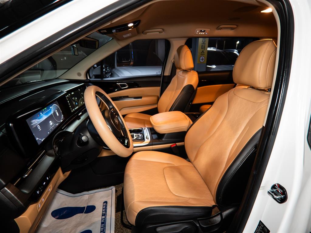 KIA Carnival - Vista 7