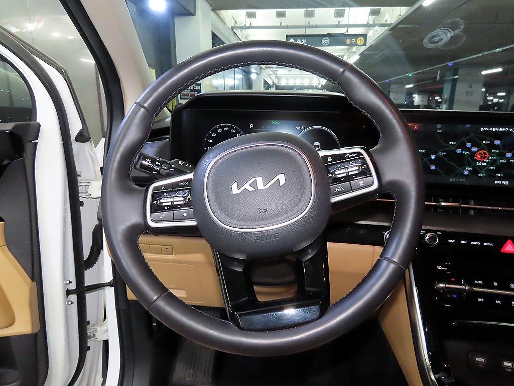 KIA Carnival - Vista 8