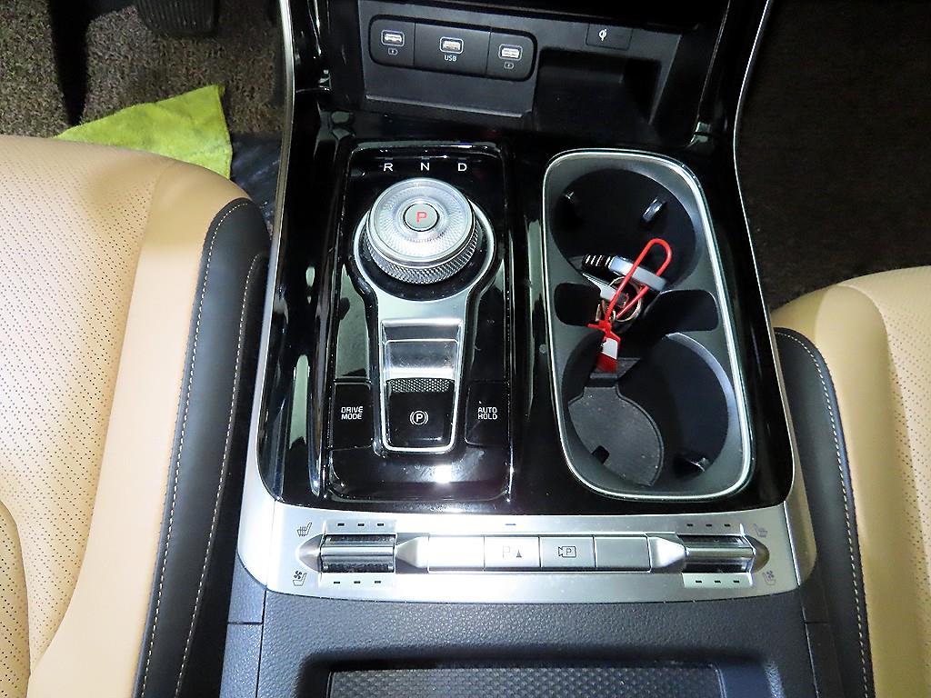 KIA Carnival - Vista 12