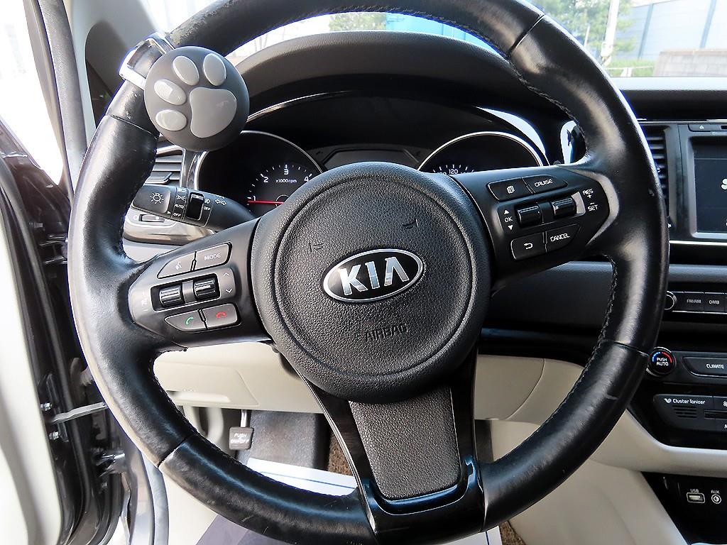 KIA Carnival - Vista 9