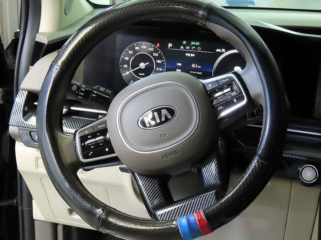 KIA Carnival - Vista 8