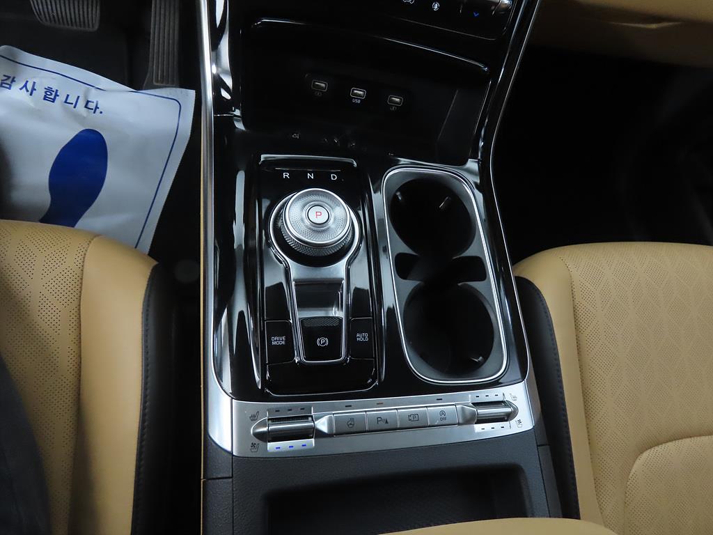 KIA Carnival - Vista 11