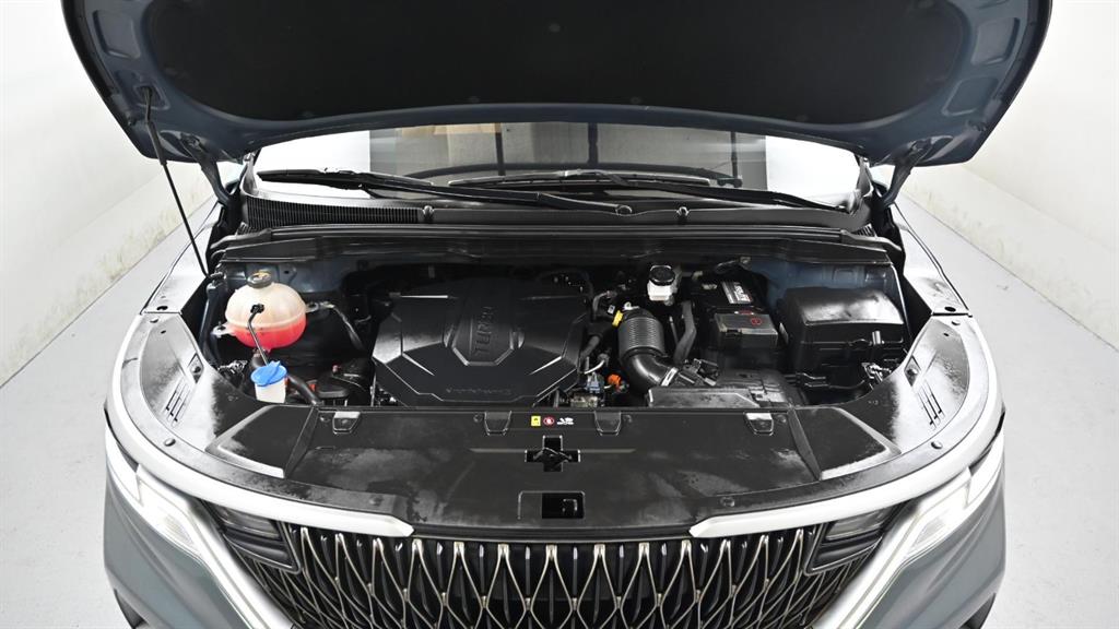 KIA Carnival - Vista 7