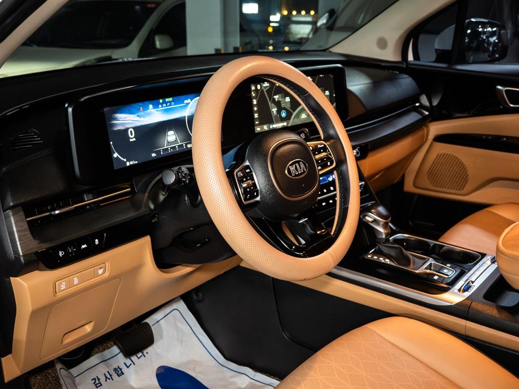 KIA Carnival - Vista 8