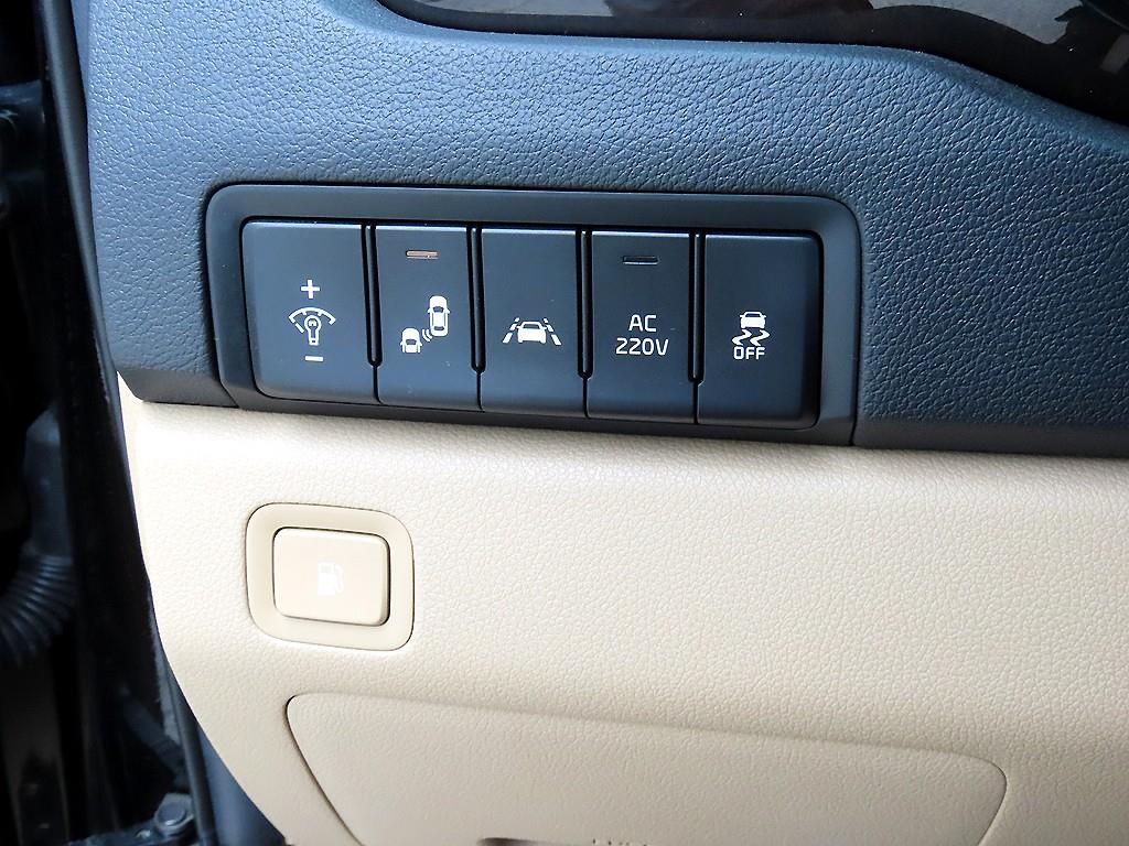 KIA Carnival - Vista 12