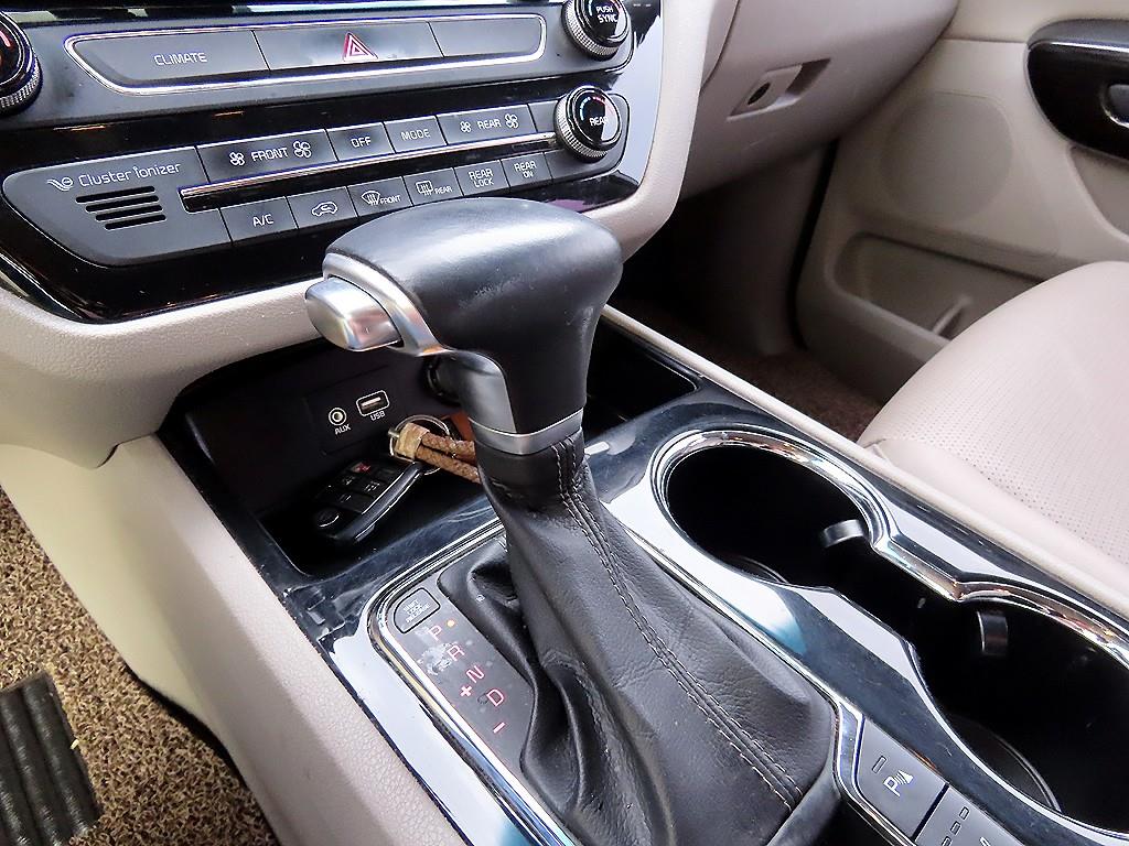 KIA Carnival - Vista 12