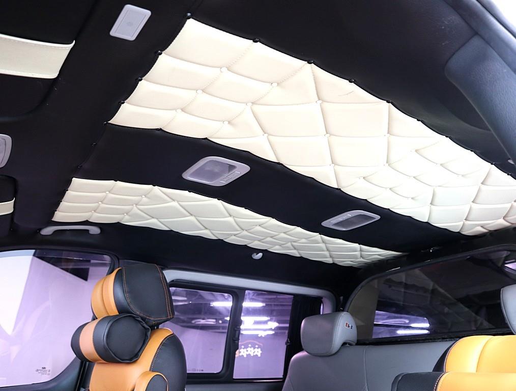 HYUNDAI Starex - Vista 12