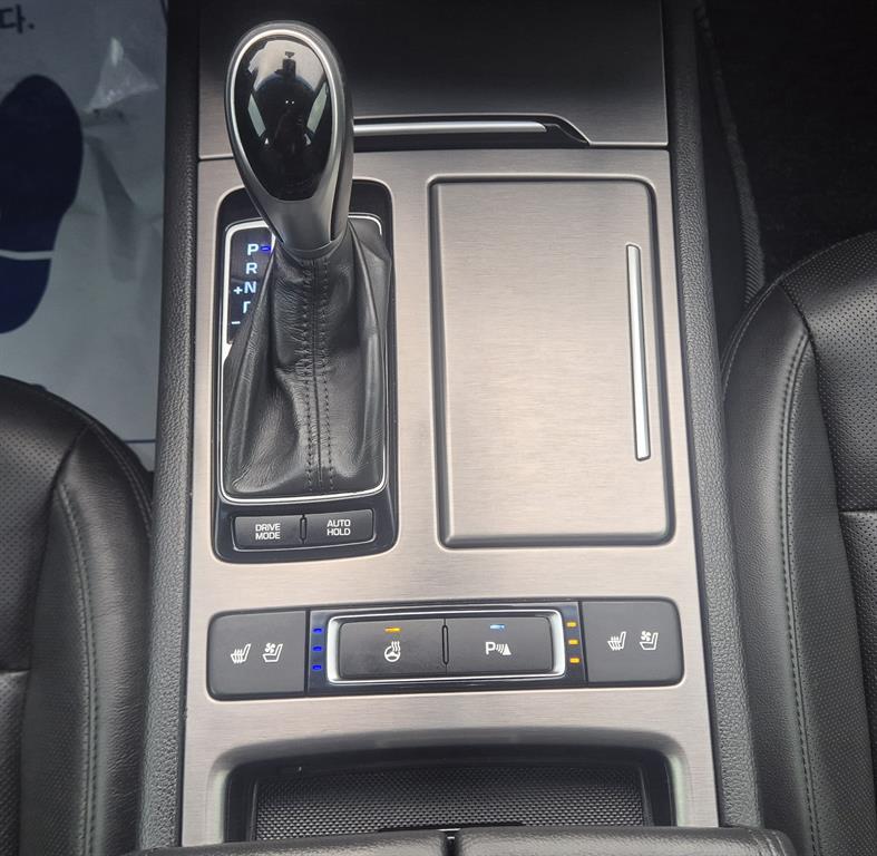 HYUNDAI Genesis - Vista 10