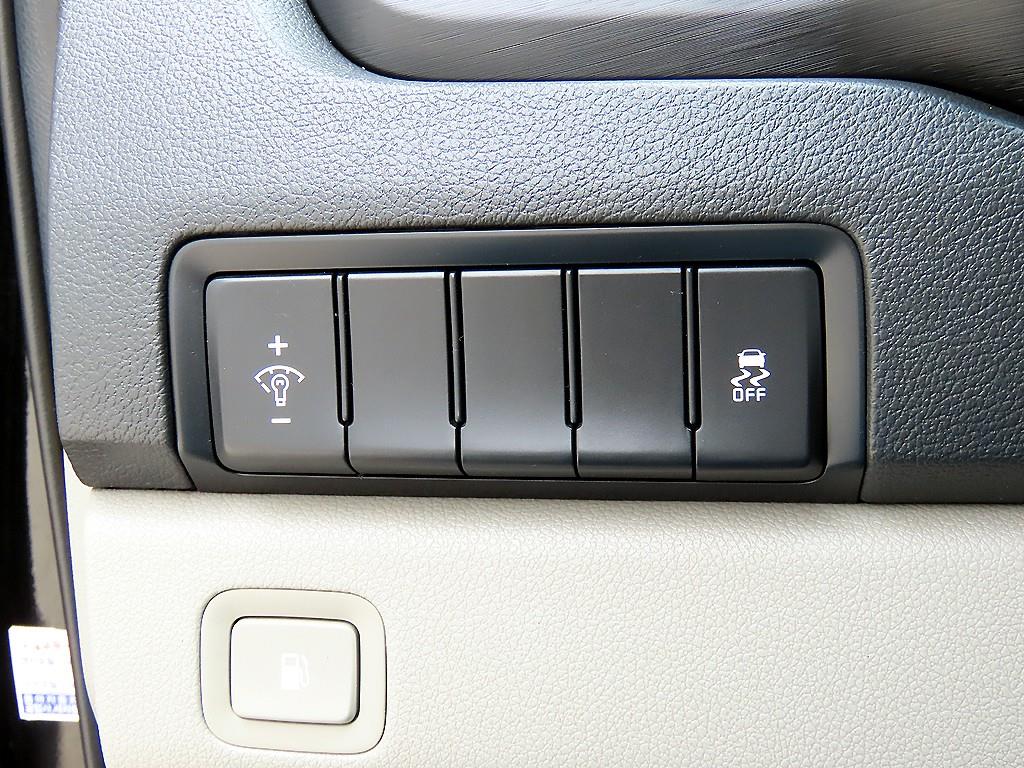 KIA Carnival - Vista 12