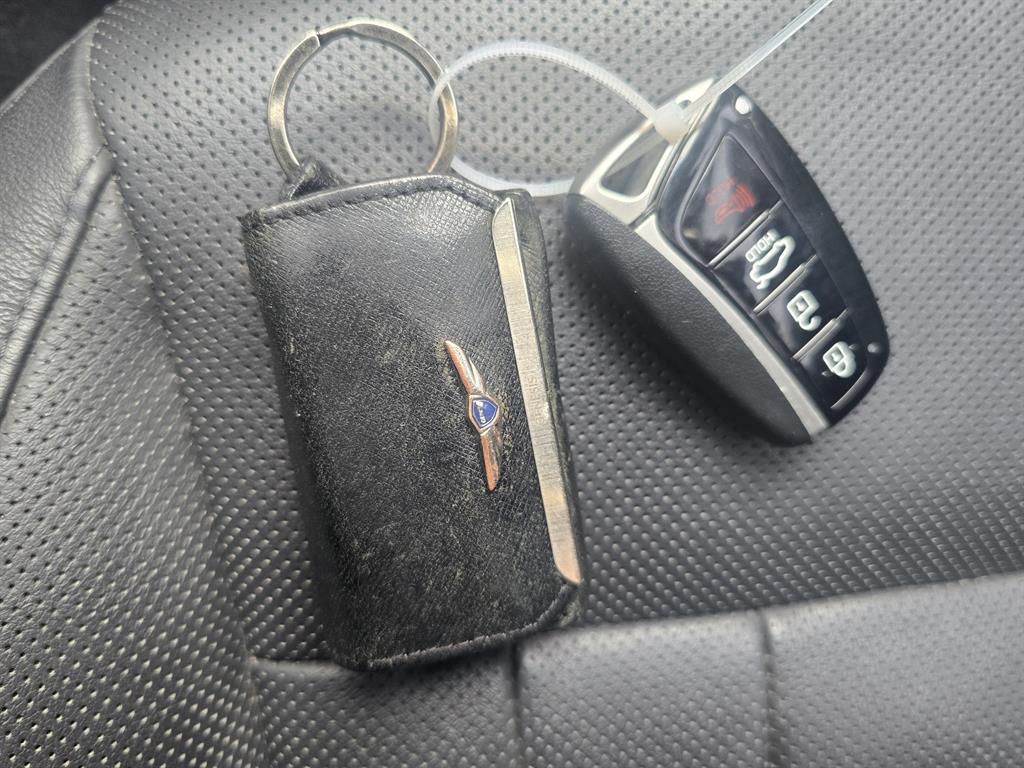 HYUNDAI Genesis - Vista 10