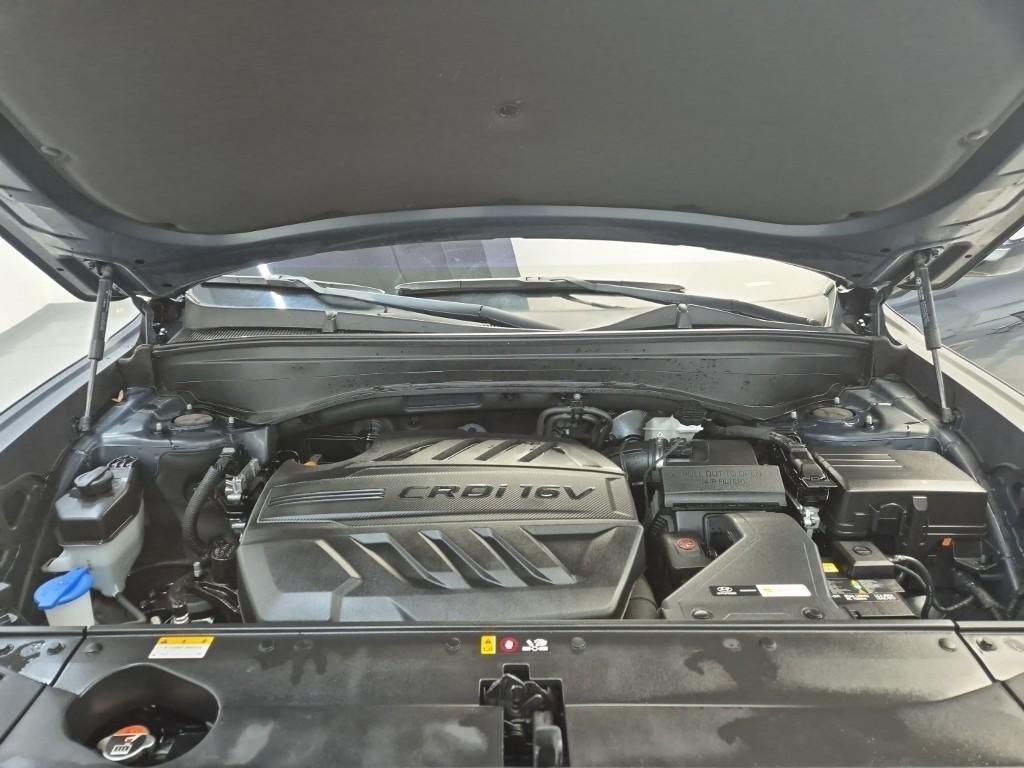 HYUNDAI Palisade - Vista 11