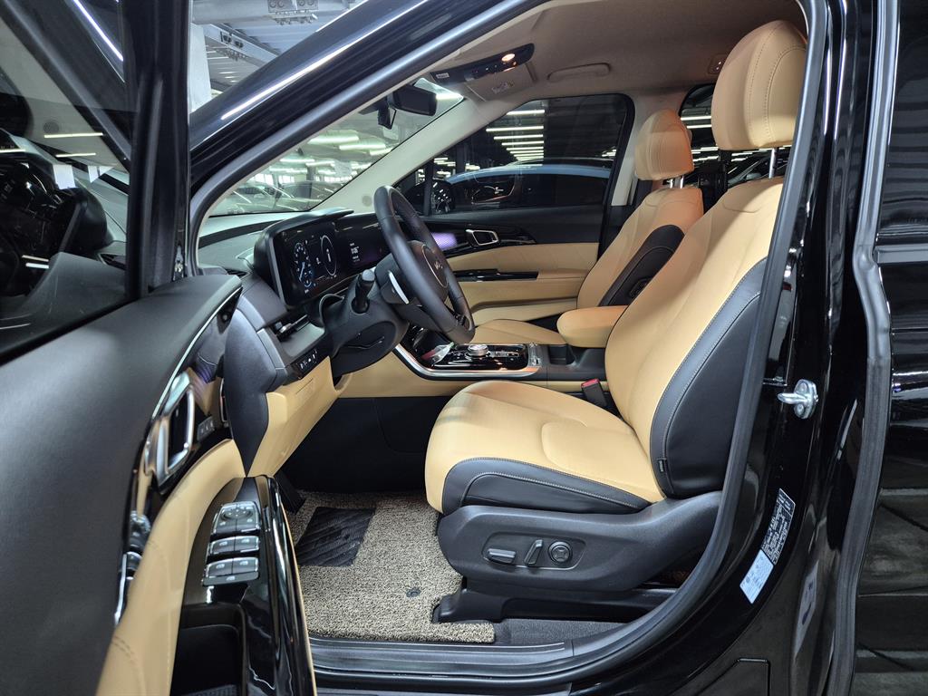 KIA Carnival - Vista 8