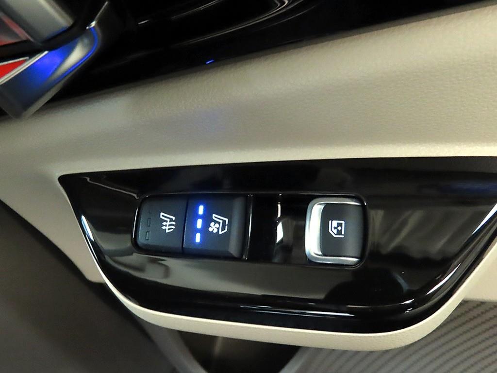 KIA Carnival - Vista 12