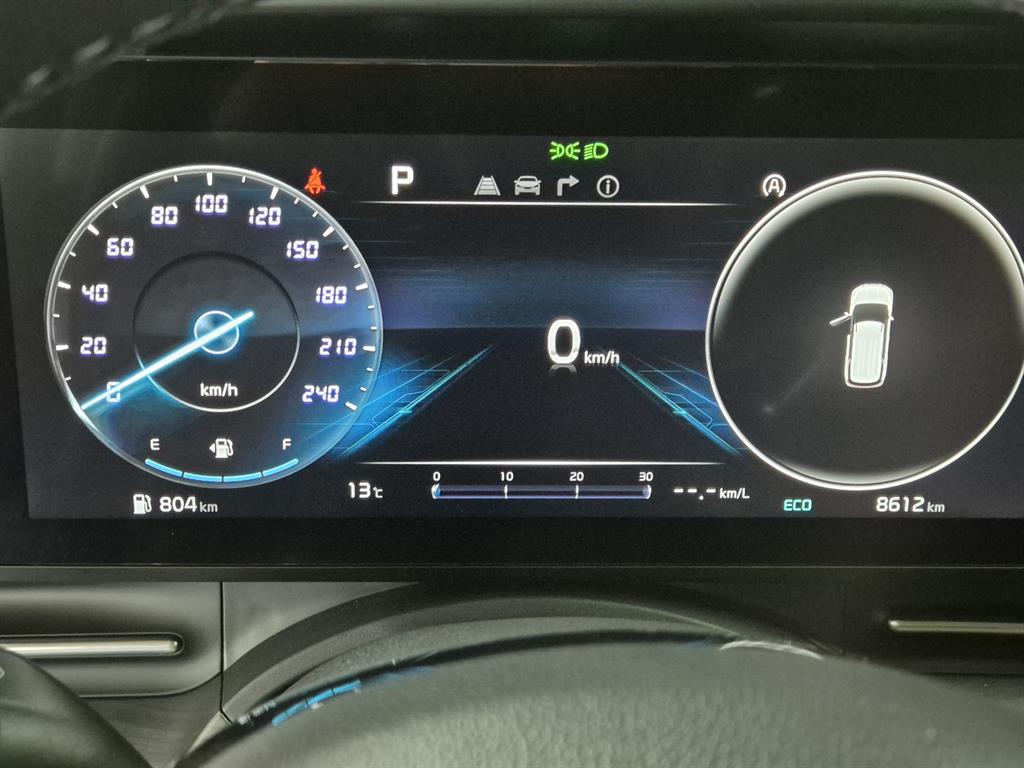 KIA Carnival - Vista 11