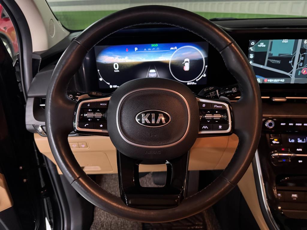 KIA Carnival - Vista 10