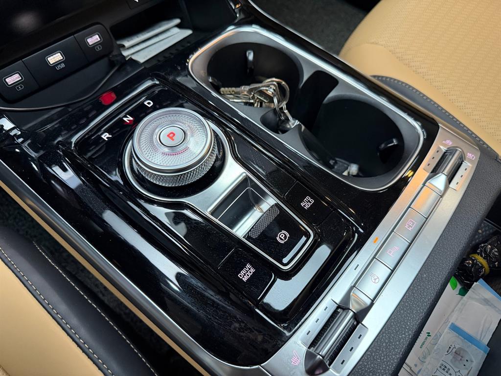 KIA Carnival - Vista 12