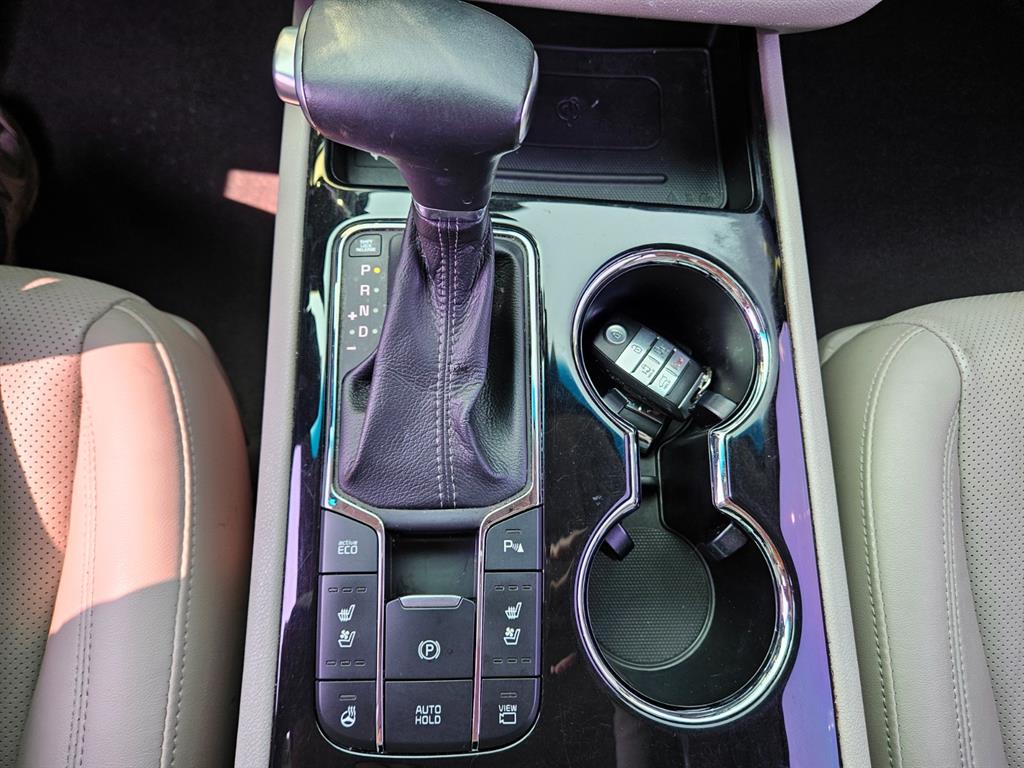 KIA Carnival - Vista 8