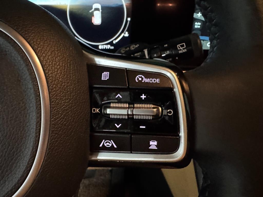 KIA Carnival - Vista 11