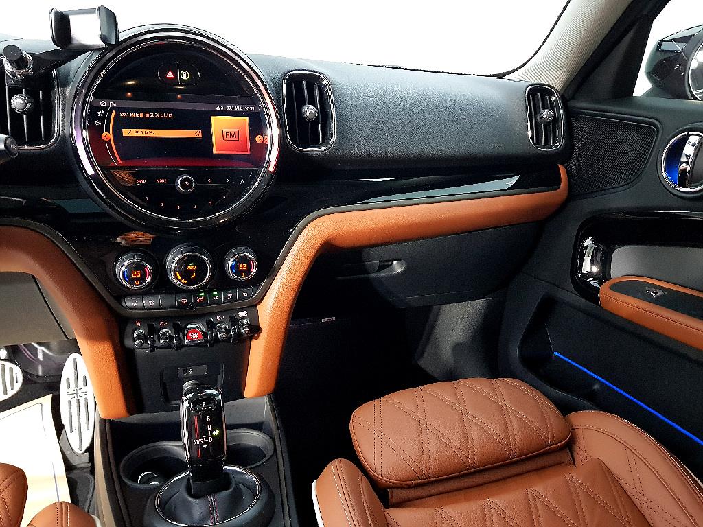 Mini Countryman - Vista 10