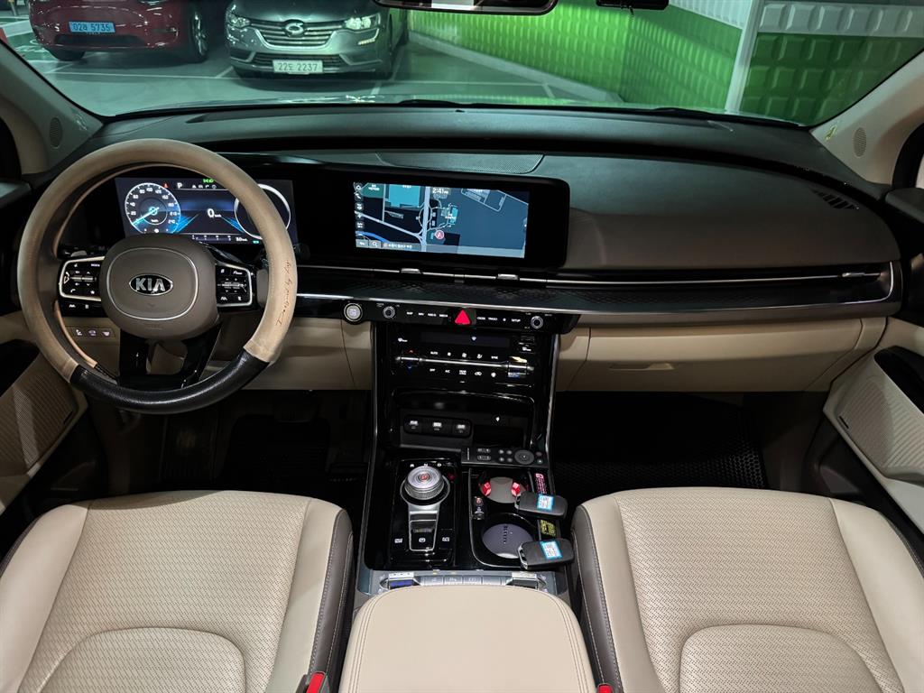 KIA Carnival - Vista 8