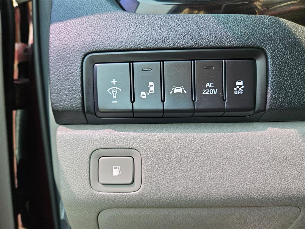 KIA Carnival - Vista 9