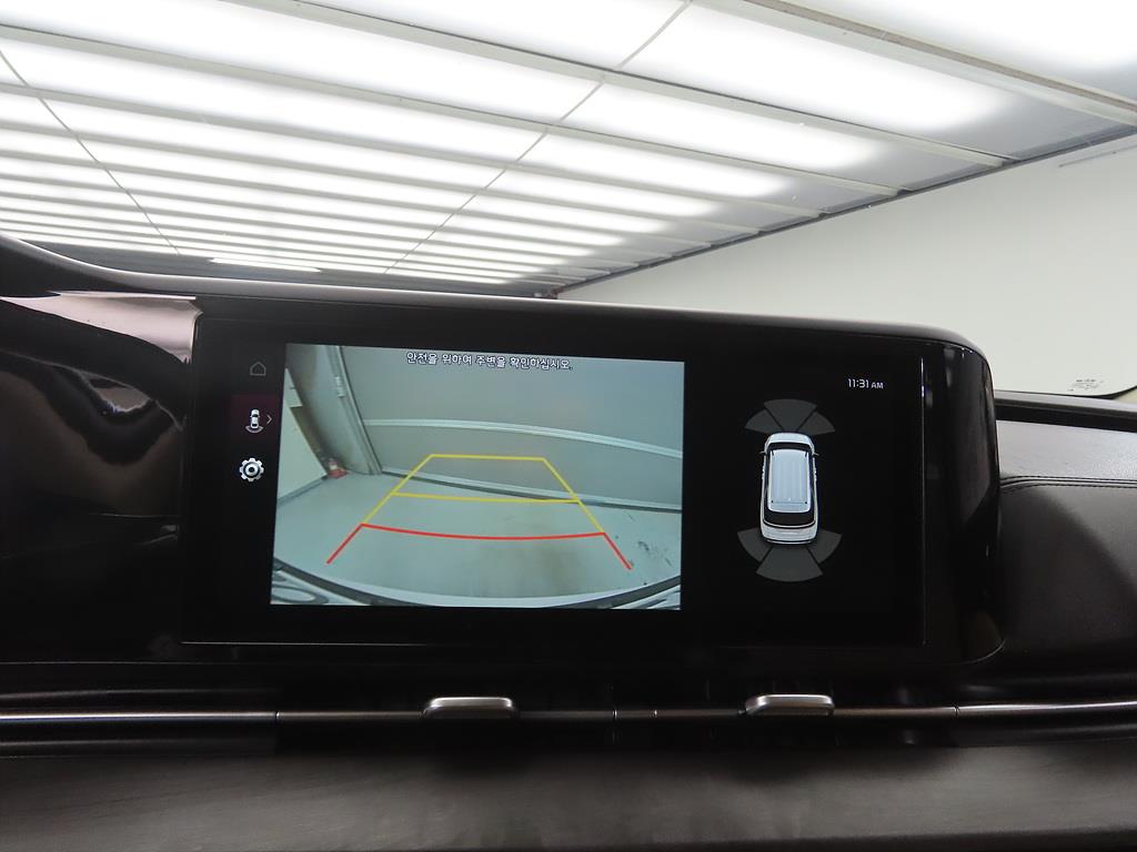 KIA Carnival - Vista 12