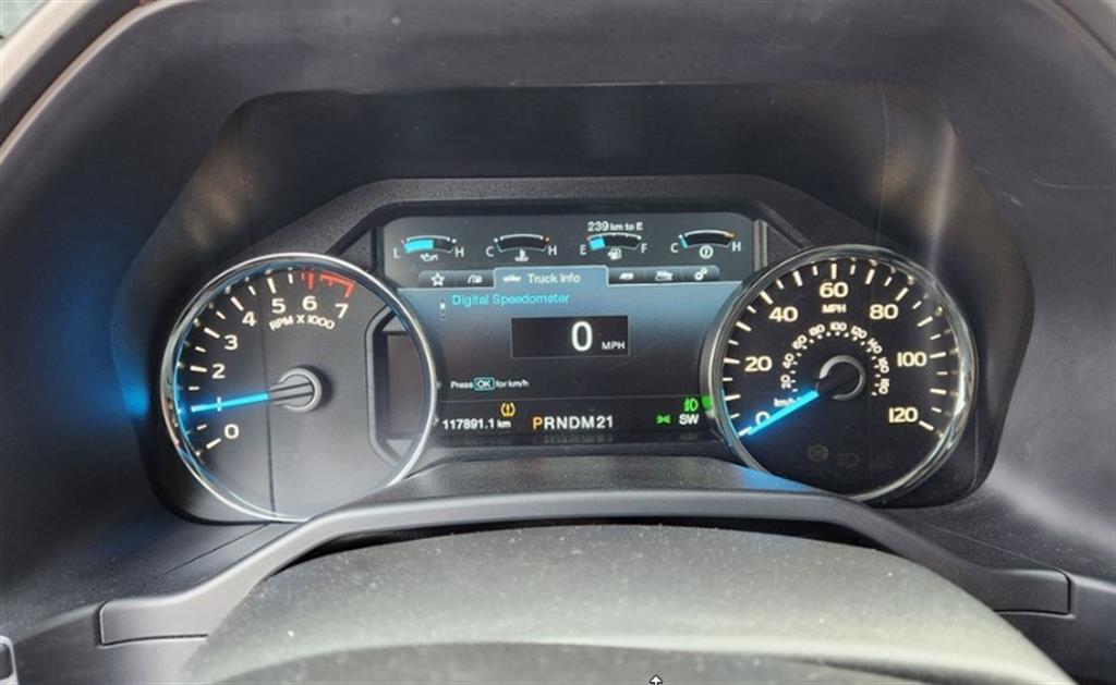 Ford F-Series - Vista 11