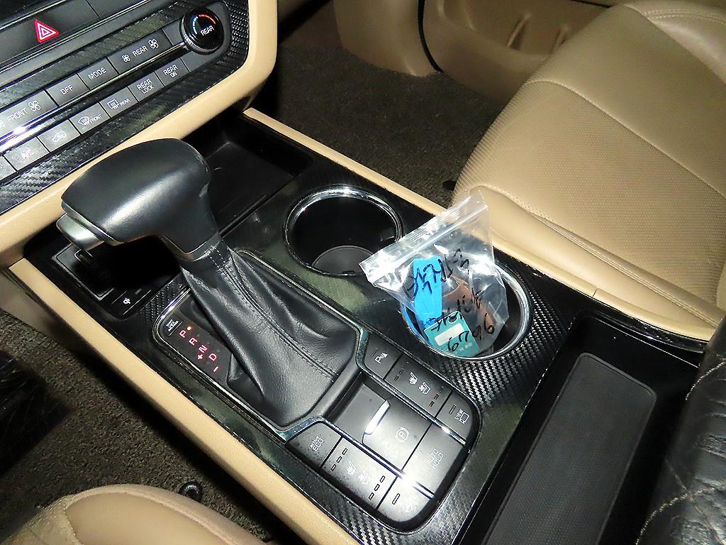 KIA Carnival - Vista 12