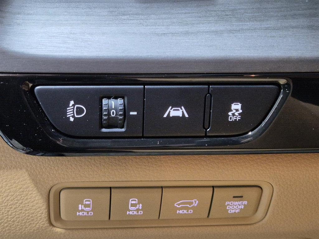 KIA Carnival - Vista 12