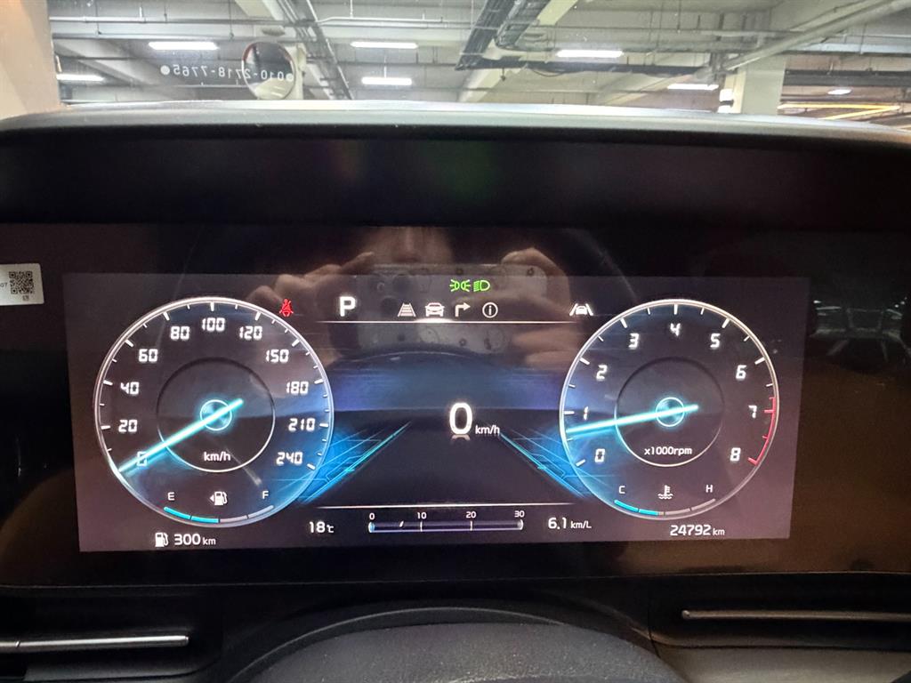 KIA Carnival - Vista 9