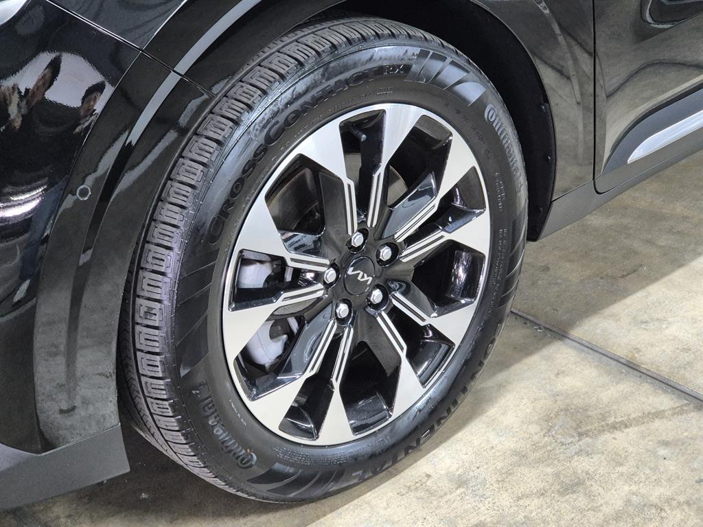 KIA Carnival - Vista 4