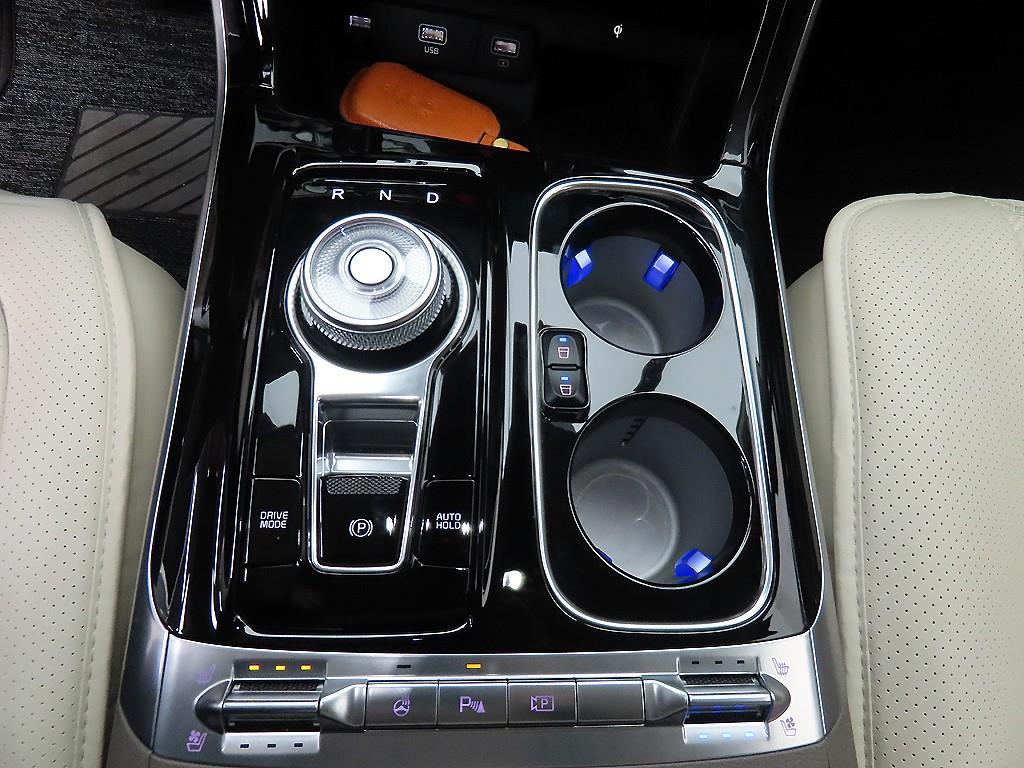 KIA Carnival - Vista 10