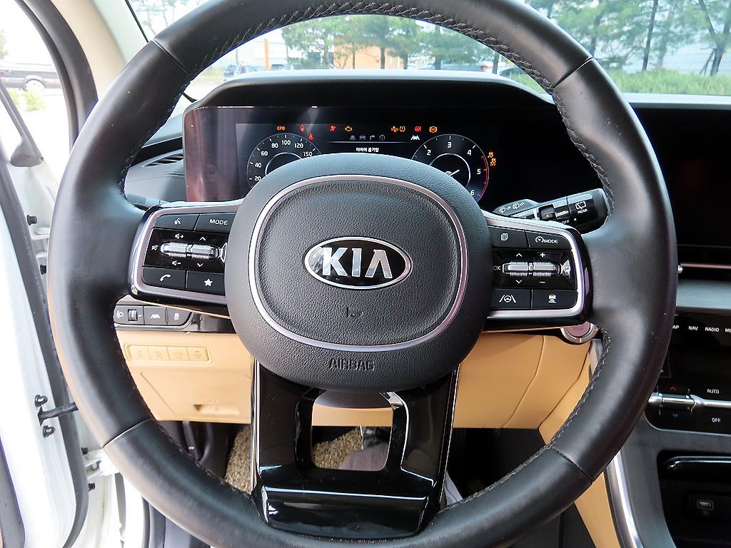 KIA Carnival - Vista 9