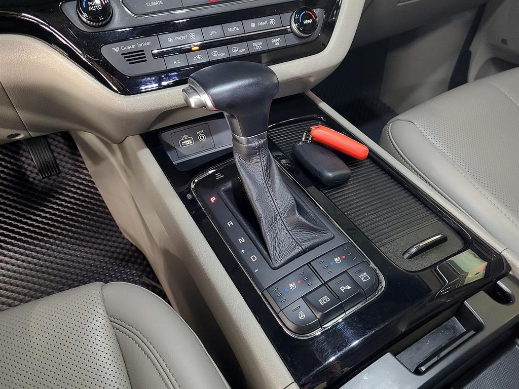 KIA Carnival - Vista 8