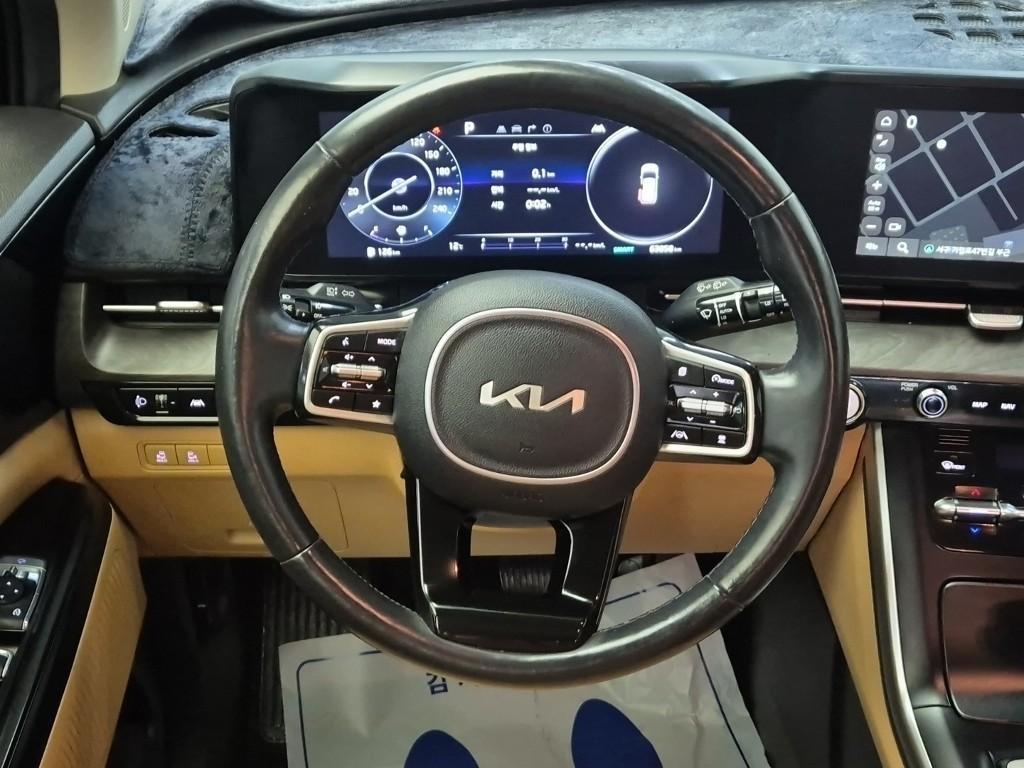 KIA Carnival - Vista 9