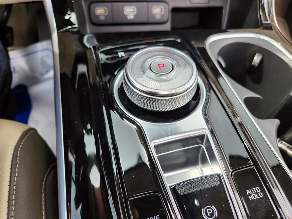 KIA Carnival - Vista 11