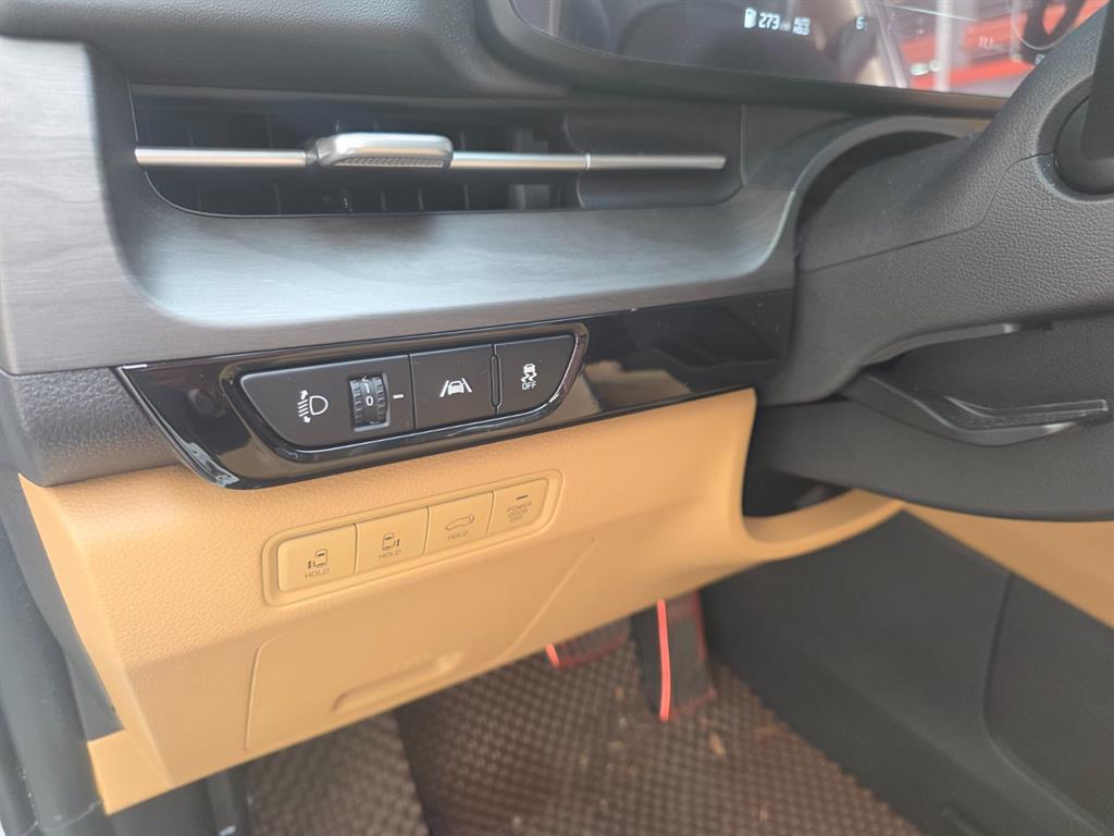 KIA Carnival - Vista 10