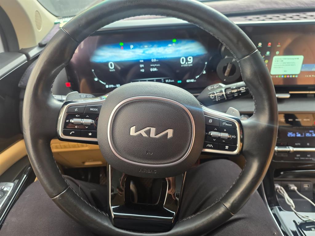 KIA Carnival - Vista 12
