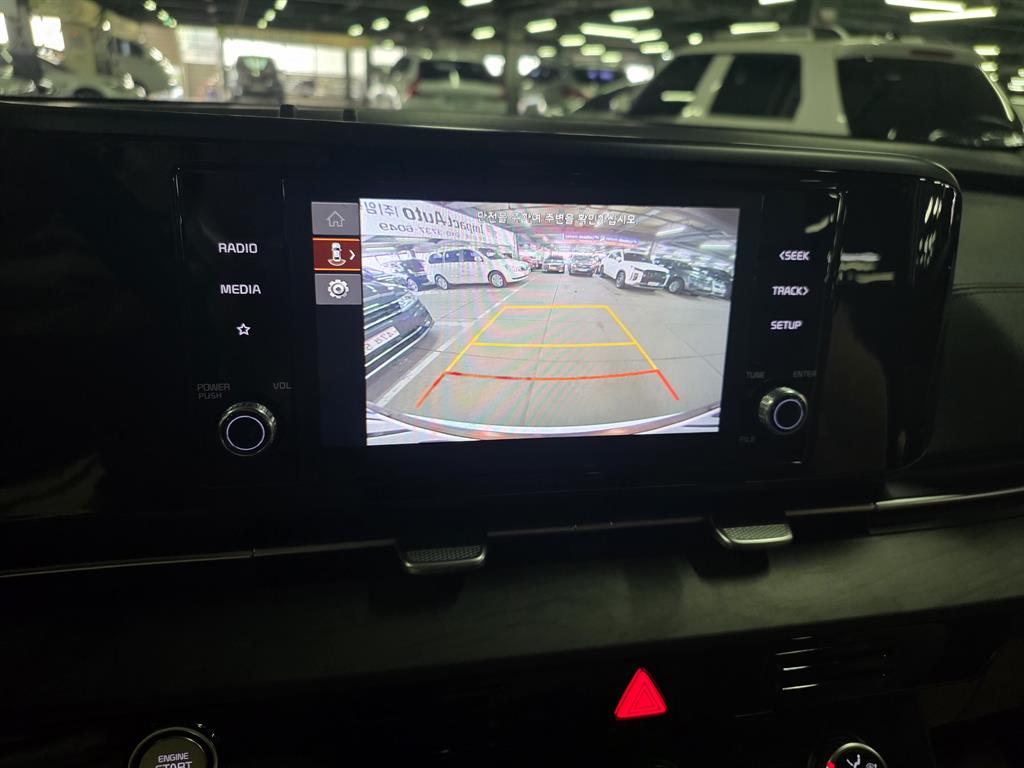 KIA Carnival - Vista 8