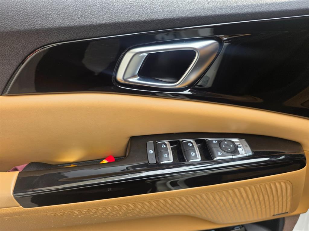 KIA Carnival - Vista 9