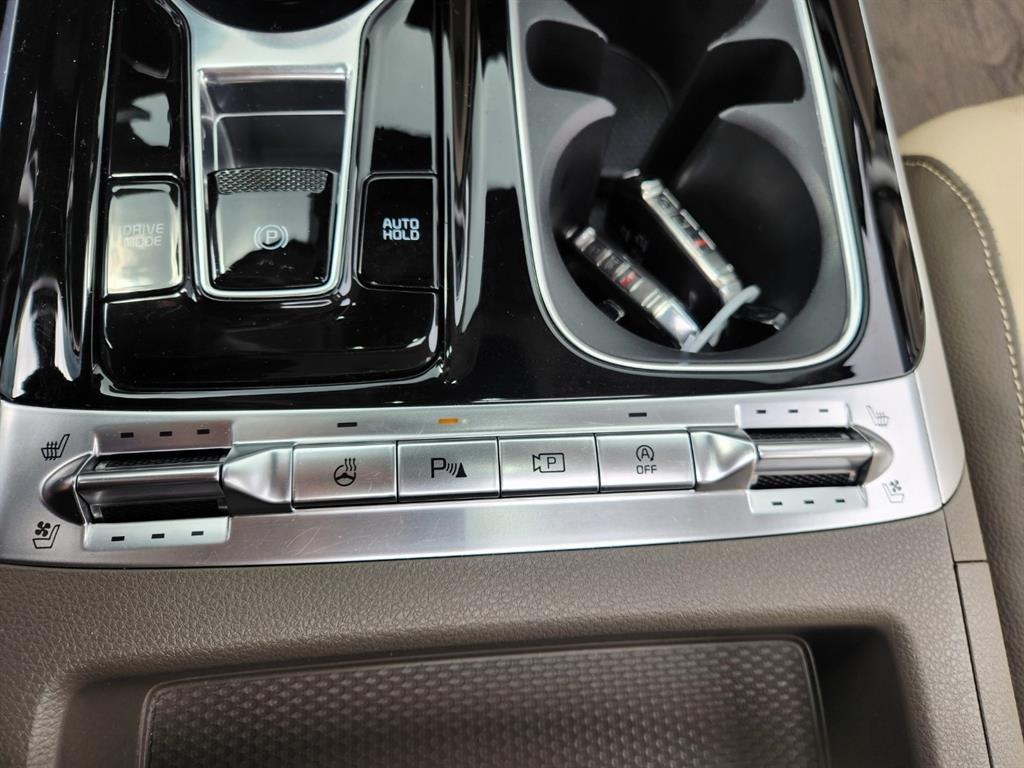 KIA Carnival - Vista 12