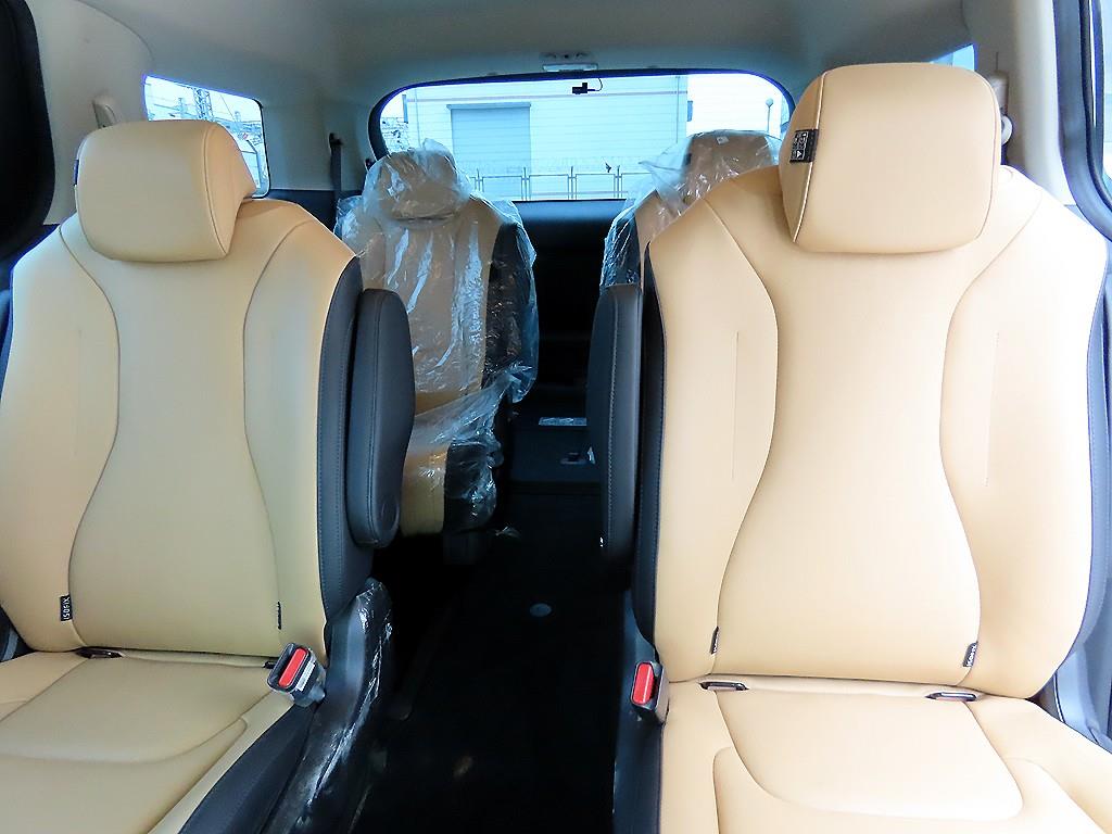 KIA Carnival - Vista 7