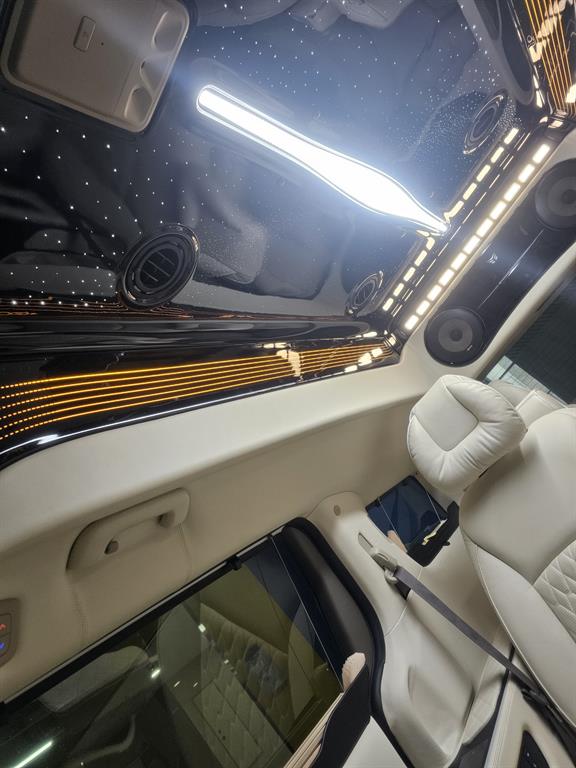 KIA Carnival - Vista 12