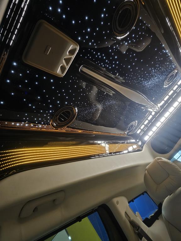 KIA Carnival - Vista 11