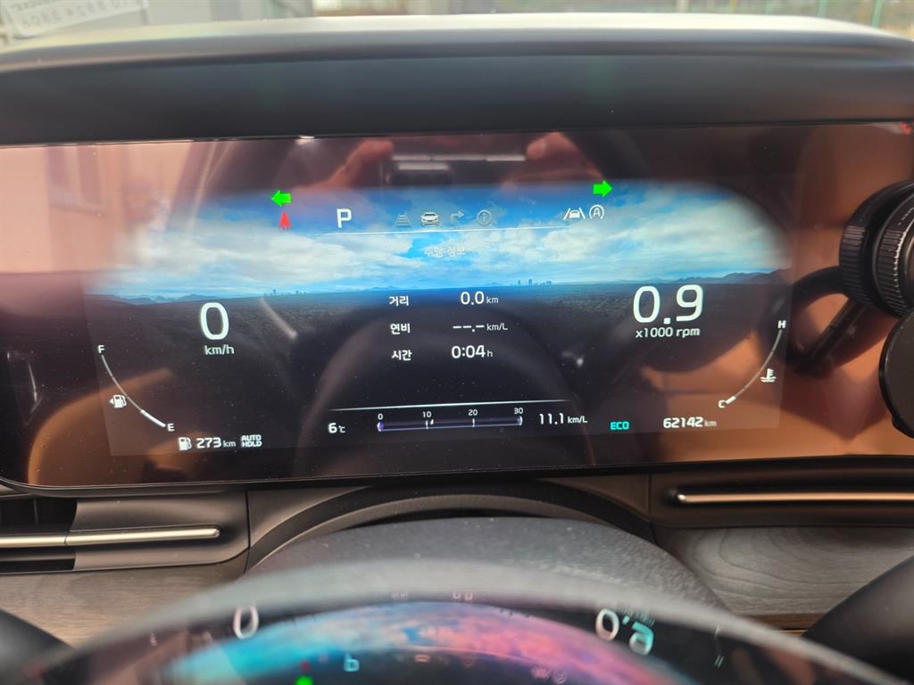 KIA Carnival - Vista 11