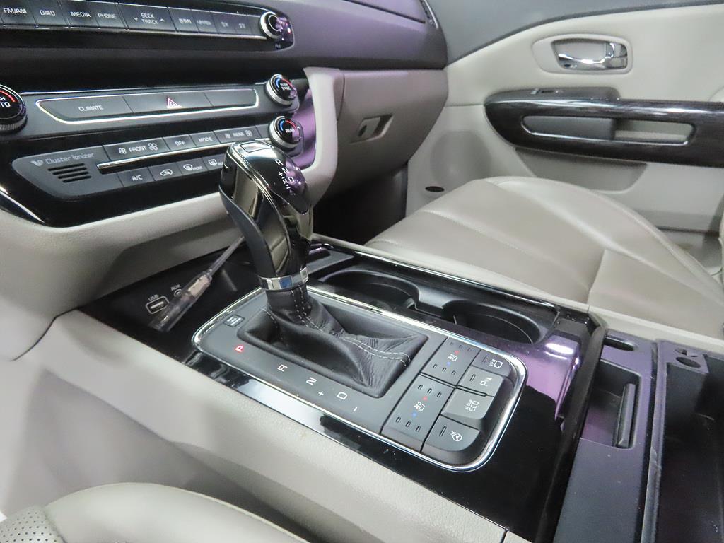 KIA Carnival - Vista 11