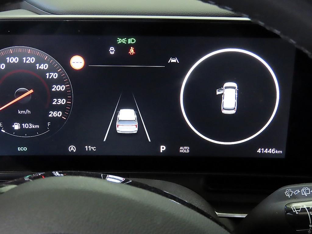 KIA Carnival - Vista 9