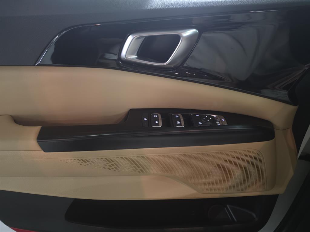 KIA Carnival - Vista 12