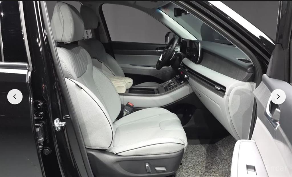 HYUNDAI Palisade - Vista 10