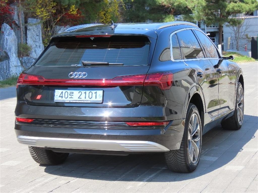 Audi e-Tron - Vista 5